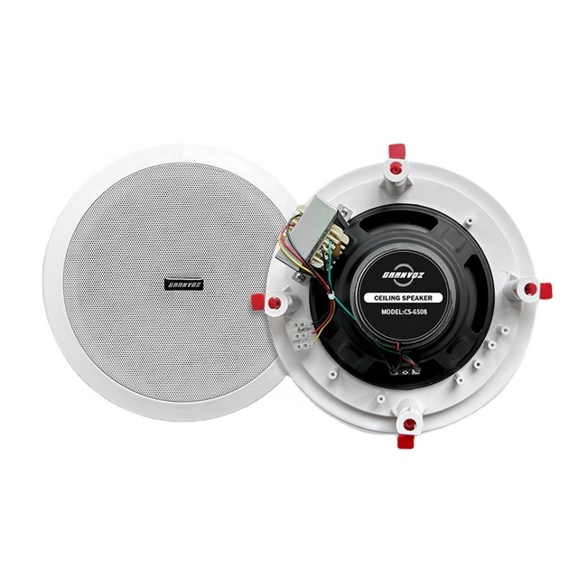 Public Address System HiFi Clear Sound 30 Watts 8 Inch Indoor Wall Surround Ceiling Speaker at Home Classroom Church