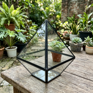 Terrario Piramidal de Vidrio Moderno al por Mayor, Diseño Geométrico de Metal y Vidrio para Plantas y Flores para Jardín - Product Image 1