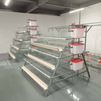 Cage d'élevage de poulets pondeuses galvanisée à 3/4 niveaux pour 120-160 poules, pour l'élevage de volailles, à vendre