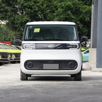 Nuevo Vehículo Eléctrico Chino 2024, Minivan de Carga Eléctrica Pura Dana V1 de 51 kWh para Saic Maxus, 305 km, 320 km de Autonomía