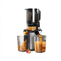 Extracteur de jus lent à large goulotte d'alimentation, séparation pulpe-jus, pour fruits et légumes, idéal pour la maison et les juseries