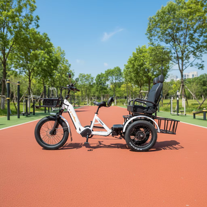 จักรยานสามล้อสำหรับแข่ง2026หมี48V 2500W 132ah วิบากมอเตอร์ไซค์สองระบบมอเตอร์คู่ที่ดีที่สุดพร้อมหน้า1000W และ150หลัง - Product Image 4