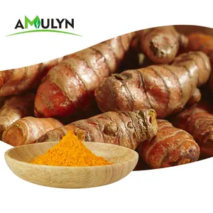 Amluyn 심황 분말 자연적인 색깔 수용성 curcumin