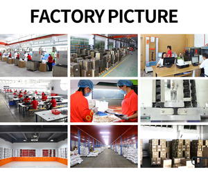 Boîte de kayak en plastique anti-UV Sac pour animaux de compagnie Sangle en caoutchouc et <span class=keywords><strong>nylon</strong></span> Poignées de sac à dos à tirer - Product Image 4