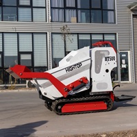 Démarrage électrique approuvé CE jardin mini tracteur dumper avec prix d'usine