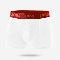 Caleçon Boxer Homme Taille Mi-Haute en Coton Tricoté Respirant Écologique avec Logo Personnalisé Marque Privée Blanc