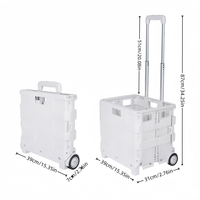 Chariot de courses pliable léger en plastique avec poignée télescopique, chariot de rangement portable et pliable
