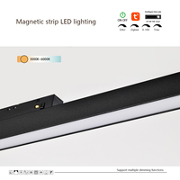 Lumière linéaire LED encastrée en aluminium magnétique moderne de 20 mm, à intensité variable, pour le salon, le plafond, l'éclairage d'ambiance