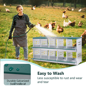 Pondoir mural métallique à 10 compartiments en acier galvanisé pour poules, ventilé, pour une collecte facile des œufs, haute productivité, entrepôt USA - Product Image 4