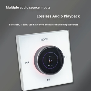 Vente en gros 2X25W Mini amplificateur <span class=keywords><strong>de</strong></span> son surround stéréo intelligent pour récepteur mural Bluetooth avec contrôleur intelligent <span class=keywords><strong>de</strong></span> musique <span class=keywords><strong>de</strong></span> <span class=keywords><strong>fond</strong></span> - Product Image 4