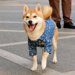 Veste en jean de luxe personnalisée avec monogramme pour chien, vêtements pour animaux de compagnie confortables et élégants pour chiens et chats de petite, moyenne et grande taille - Product Image 4