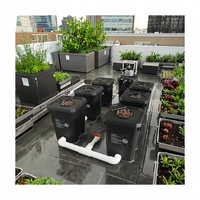 Kit de culture hydroponique RDWC personnalisable à 6 pots en plastique noir, seau hollandais, 7 gallons/27L, fournitures pour serre et jardin intérieur