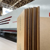 Scie à faisceau CNC 2800mm 3300mm Scie à panneaux de mélamine pour le travail du bois
