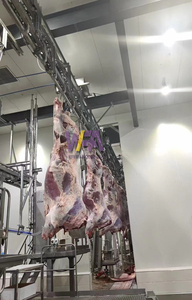 WFA complet 25-50 petit équipement d'abattoir, Machine de ligne de traitement d'abattage de boeuf de vache pour équipement de <span class=keywords><strong>boucherie</strong></span> - Product Image 6