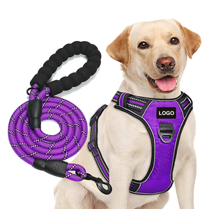 高級デザイナーナイロンペット犬用ハーネスリーシュセット快適な暖かいパッド入りカスタムロゴスタイリッシュなファッションペット用品 - Product Image 5