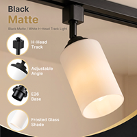 Tête d'éclairage sur rail de type H, directement de l'usine, avec ampoule à culot E26, abat-jour en verre blanc réglable, compatible Halo, luminaire homologué ETL