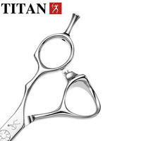Ciseaux de coiffure professionnels Titan 6 pouces en titane, lame droite en acier inoxydable avec acier 440c tranchant
