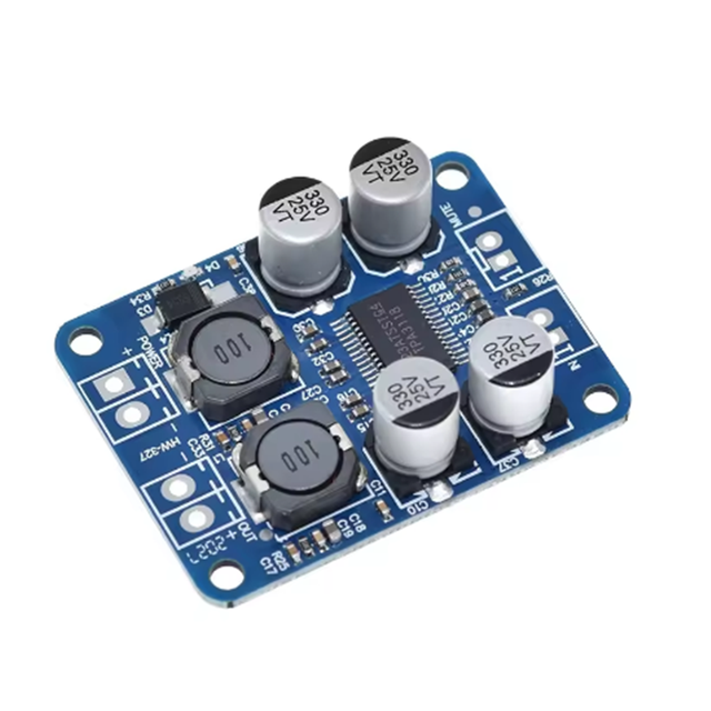 DC 12V-24V TPA3118 60W Mono Digital Audio Power Amplifier Board Amp Module