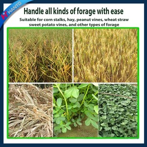 Mélangeur d'aliments TMR <span class=keywords><strong>horizontal</strong></span> automatique pour bovins et ovins - Broye et malaxe les fourrages, utilisation double humide-sèche - Product Image 5