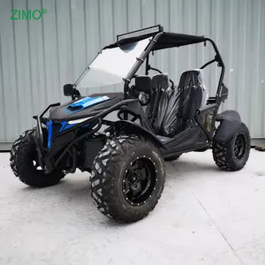 2024 Popular 300cc 2 Seats Dune Buggy