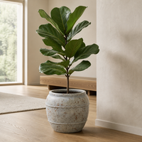 Pot de fleurs antique en ciment, en forme d'urne, effet vieilli, avec motif en corde, pots décoratifs pour plantes d'intérieur et d'extérieur, décoration de jardin et de maison