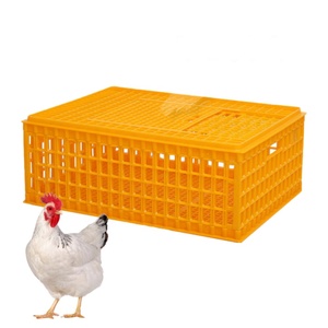 Moule d'injection plastique professionnel pour caisse de transport de volaille, moule d'injection de pièces en plastique de haute qualité pour <span class=keywords><strong>cage</strong></span> à poulets - Product Image 3