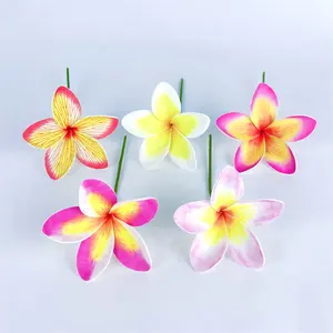 Eleganti accessori per capelli fiore Plumeria per le donne all'ingrosso KN-113 Hawaii Flower Women Accessoris