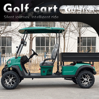 Carrito de Golf de 2 Pasajeros Equipado con Batería de Plomo-Ácido, Plataforma de Carga Grande, Vehículo de Doble Uso para Pasajeros y Carga, Ideal para Villas y Parques