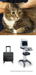 Goedkoopste Trolley Ultrasone Diagnostic System Dierenarts <span class=keywords><strong>Ultrasound</strong></span> Scanner Zwart-wit <span class=keywords><strong>Ultrasound</strong></span> Machine Apparatuur - Product Image 6