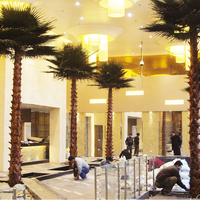 Palmiers artificiels d'intérieur Phoenix canariensis préservés pour l'exportation au Canada