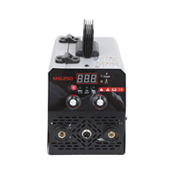 Soudeuse MIG sans gaz, modèles 250, kit complet avec fil d'essai gratuit et bobine de 1 kg, prend en charge les fils de soudage de 0,8 mm et 1,0 mm