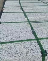 Carreaux de sol en granit naturel blanc flammé - Design moderne, légers, durables, écologiques pour villa, salle de bain, cuisine, extérieur