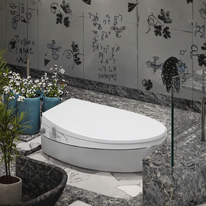 All'ingrosso Smart Bidet coprisedile doppio ugello V/<span class=keywords><strong>D</strong></span>/<span class=keywords><strong>U</strong></span>/<span class=keywords><strong>O</strong></span> forma Non elettrica casa PP wc con materiale plastico per il bagno - Product Image 3