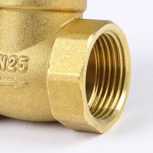Lirlee áp lực cao Brass Swing kiểm tra van 1 "<span class=keywords><strong>2</strong></span> 3/4 inch đồng mùa xuân không trở lại Van cho máy bơm nước - Product Image 5