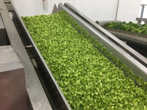 Chiles Verdes Picantes Congelados Premium, IQF, para Procesamiento Industrial de Alimentos y Cocina Asiática, Venta al Por Mayor - Product Image 4