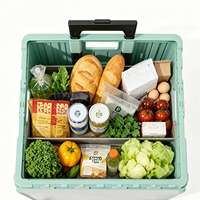 Caisse de rangement roulante ergonomique et écologique en plastique PP durable avec poignée télescopique et design pliable, capacité 45/65L pour vêtements