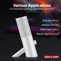 Kablolu oyun mikrofon stüdyo Podcast kayıt bilgisayar mikrofonlar için vokal akışı ile RGB ışık