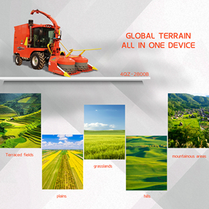 Machine à couper la paille pour l'alimentation animale de qualité supérieure à <span class=keywords><strong>vendre</strong></span>, avec certification CE, logo personnalisé - Product Image 3