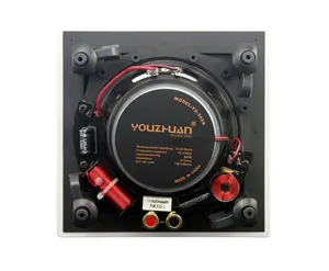 गर्म बिक्री 5.25-इंच हाई-फाई छोटे बैटरी संचालित वक्ताओं के लिए बहु-कमरे पृष्ठभूमि YZ356S