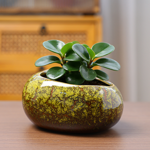 Glazed Ceramic Pottery Succulent <b>Planter</b> Colorful Elliptical <b>Bowl</b> Design Indoor Garden Decor Drainage Hole Flower Pots - Product Image 3