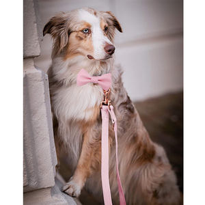 Direktverkauf Luxus Metallschnalle Mode Leder Haustier Fliege Hundehalsband Hundezubehör Haustierbedarf - Product Image 6