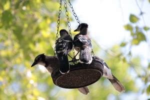 Подвесная кормушка для птиц, металлическая сетчатая кормушка для птиц, уличное садовое украшение для привлечения кормушки для птиц - Product Image 5