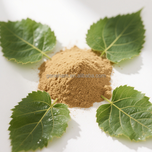 100% doğal yüksek saflıkta beyaz dut yaprağı ekstresi DNJ 2% gıda kozmetik sınıf bitki tozu formu mevcut şişe davul Can - Product Image 5