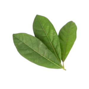 Tónico Capilar Herbal Orgánico Exclusivo de Tailandia, 75 ml, Spray Líquido, Nutre y Fortalece las Raíces del Cabello, Promueve un Cabello Oscuro y Brillante - Product Image 4