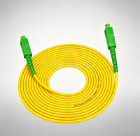 Câble de raccordement en fibre optique monomode SC Simplex UPC SM 2,0 mm 3,0 mm FTTH