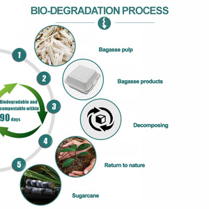 Chi phí thấp tùy chỉnh Bộ đồ ăn dùng một lần container thực phẩm phân hủy sinh học bao bì thực phẩm cho hãng hàng không sử dụng - Product Image 6