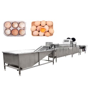 Ligne de lavage pour œufs d'oie, œufs de canard et œufs de poule-Machine à laver les coquilles d'œufs Machine à laver les œufs - Product Image 6