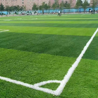 Fußballplatz Teppich 50 mm Fußball Futsal Rasen Mit CE-Zertifikat Kunstrasen Hallen fußballfeld
