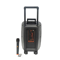Karaoké extérieur, microphone sans fil 12 pouces, 20W RGB pour système audio Hi-Fi 5.0, double microphone, batterie 3600mAh, télécommande