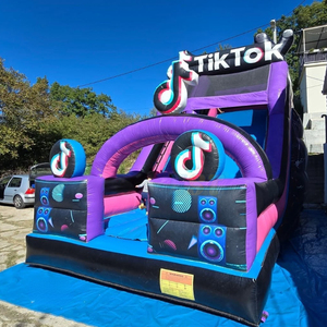 Toboggan gonflable sur le thème de TikTok, toboggan aquatique gonflable commercial avec piscine, toboggan extérieur pour enfants - Product Image 3